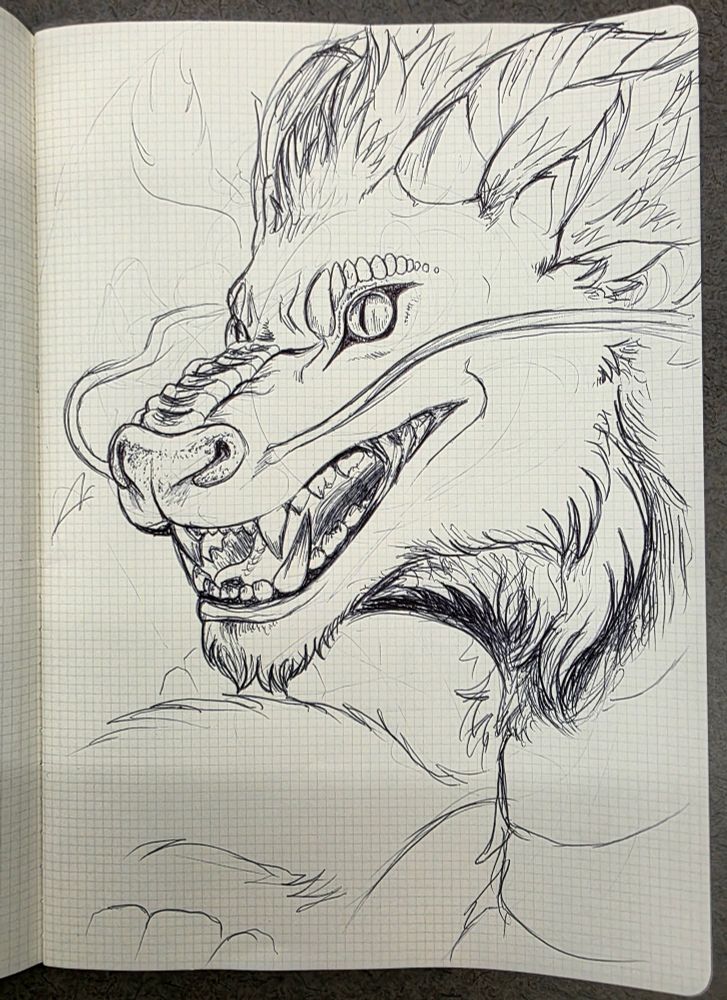 A photo of a bust of an eastern dragon drawn in black pen ink on graph paper.