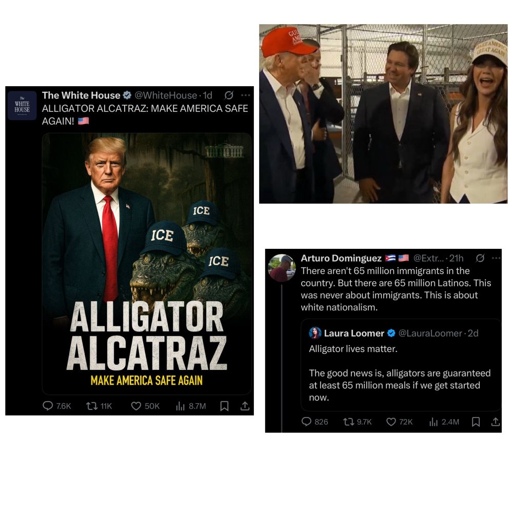 A tweet from the WH about “Alligator Alcatraz”, a tweet from Loomer about feeding people to alligators, a pic of Trump, Noem, DeSantis laughing in front of cages.