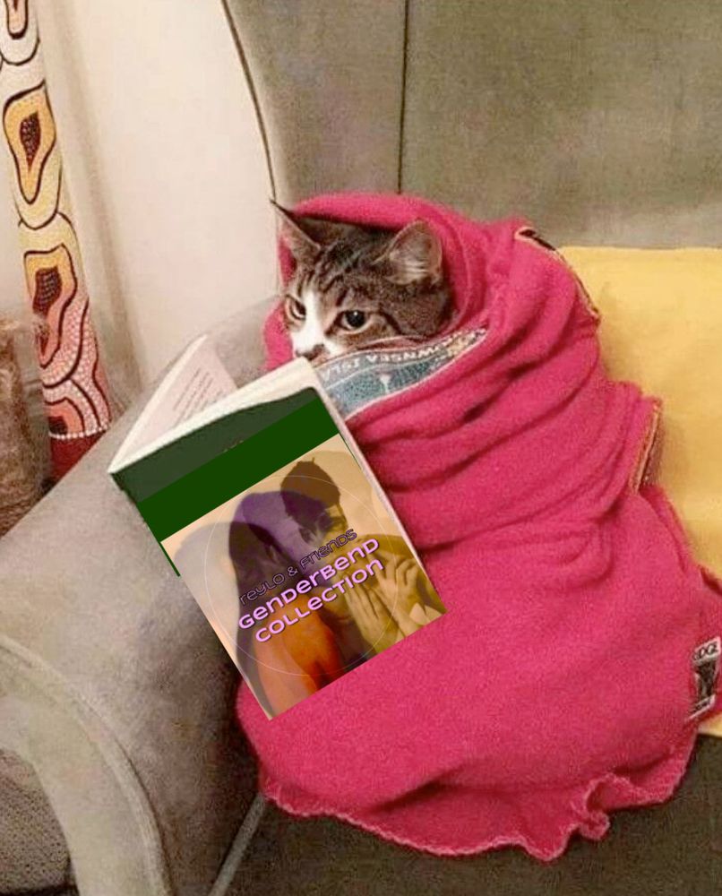 picture of a tabby and white cat who has been transformed into a purrito, presumably against its will. the cat is wrapped in several layers of pink fleece blanket, nestled in the corner of a gray chair. in the original picture, a book was propped up on the end of the blanket burrito, against the arm of the chair. nine has edited the book to have the genderbend collection cover art on it.
