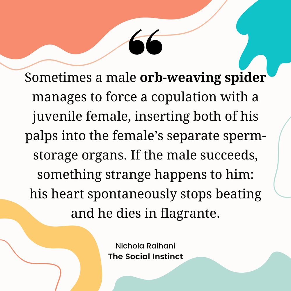Sometimes a male orb-weaving spider manages to force a copulation with a juvenile female, inserting both of his palps into the female's separate sperm- storage organs. If the male succeeds, something strange happens to him: his heart spontaneously stops beating and he dies in flagrante.