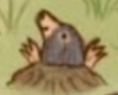 Ganz doll rangezoomter Maulwurf