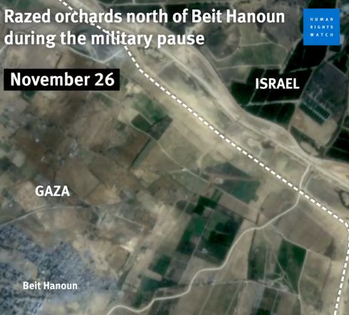 satellite image showing Gaza on november 26 with much of the green fields razed