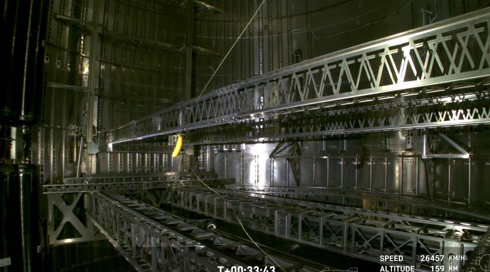 Banane im Starship von SpaceX.