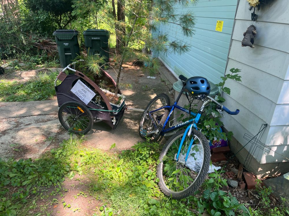 My blue backup bike (the beast is undergoing repairs) loaded with a big potted white pine and a spruce in the kid trailer