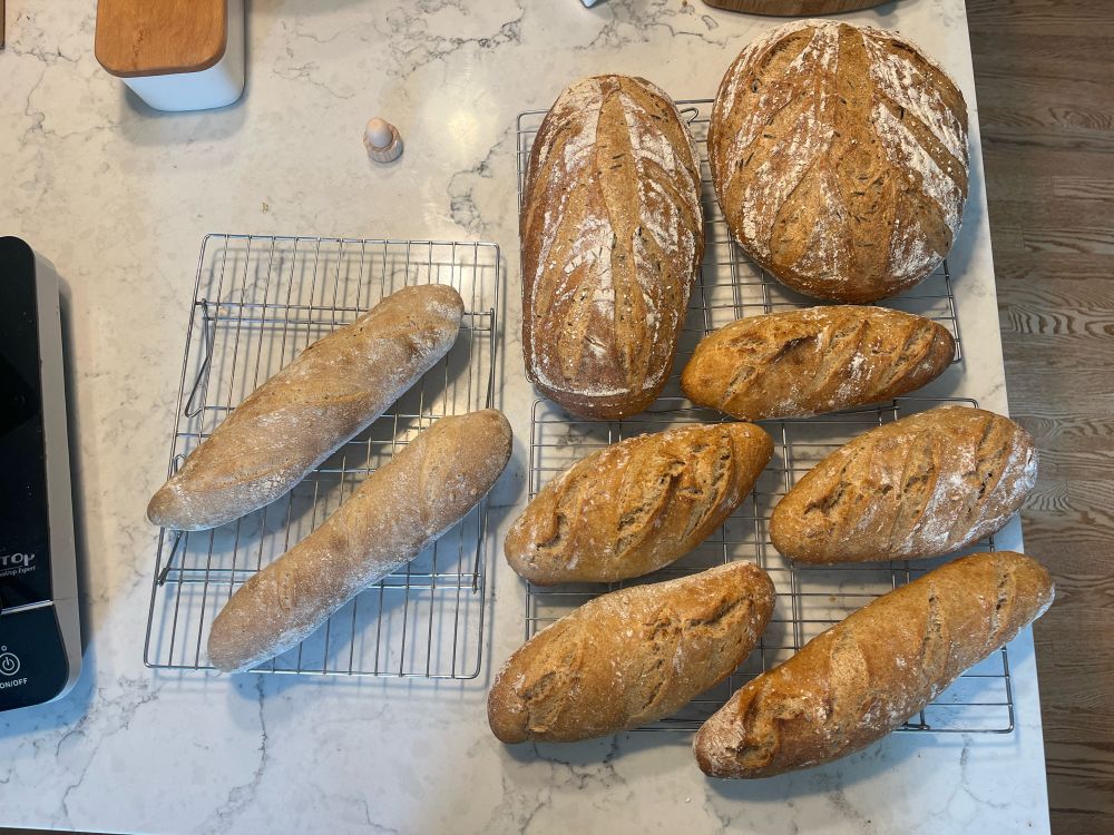 Two large loaves and small loaves of sourdough bread on cooling racks. (Those last two pale ones I forgot to add steam for oven spring!)
