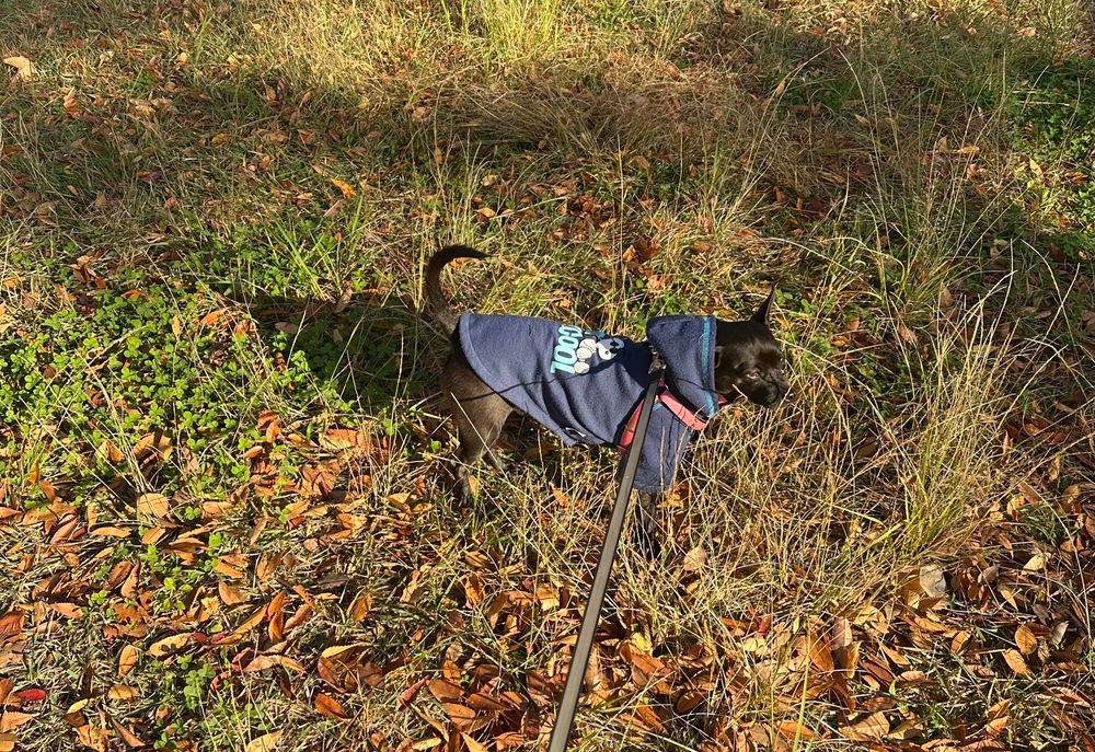 お友達が来たかなぁ？