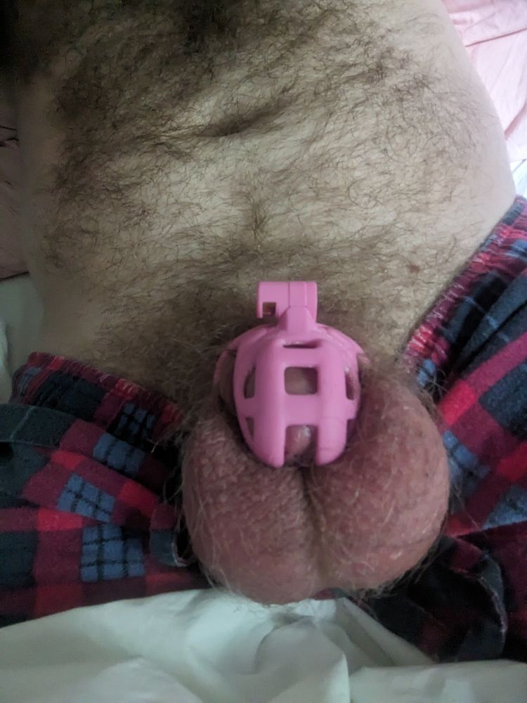 Me wearing a small pink nano knock off cage.
You can see hairy tummy and very big looking balls.