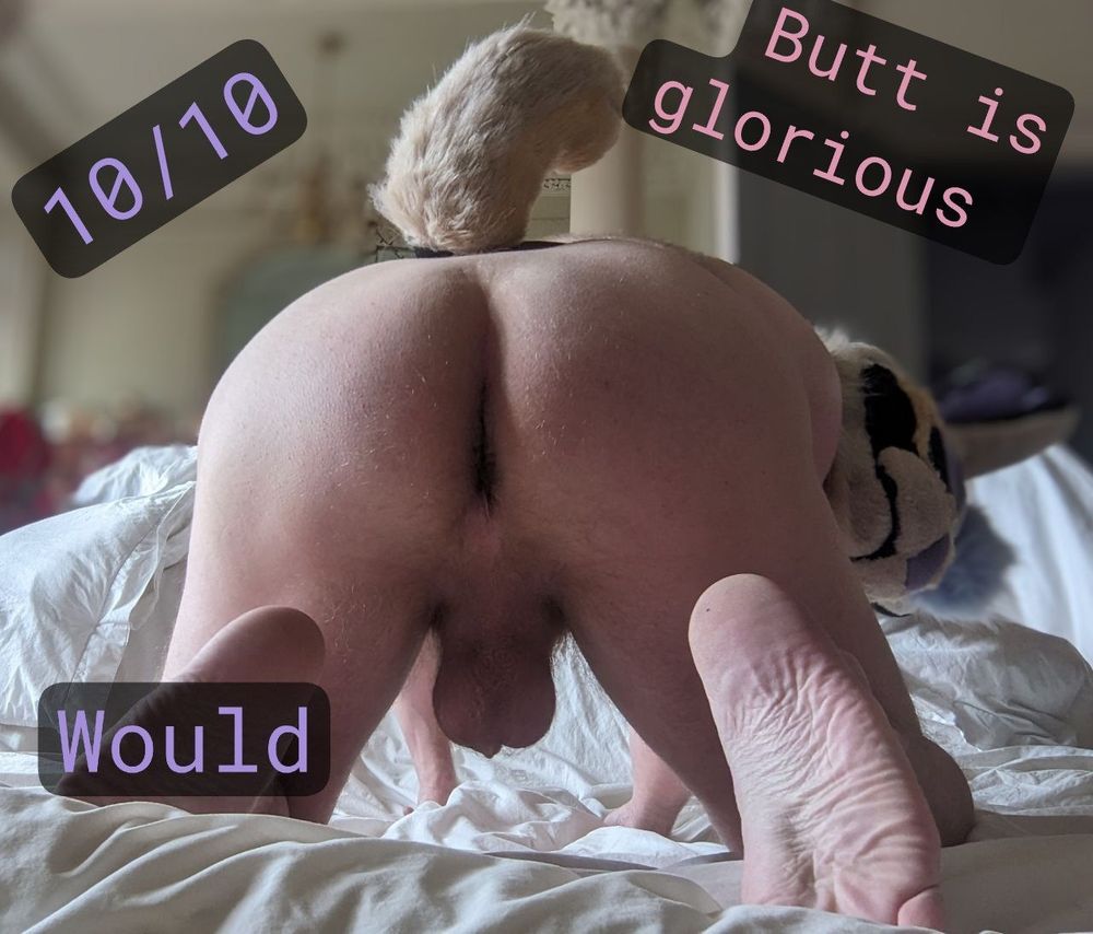 A picture of me on all fours presenting my butt. There's various quotes round it like in a movie poster. Saying '10/10', 'would' and 'butt is glorious'