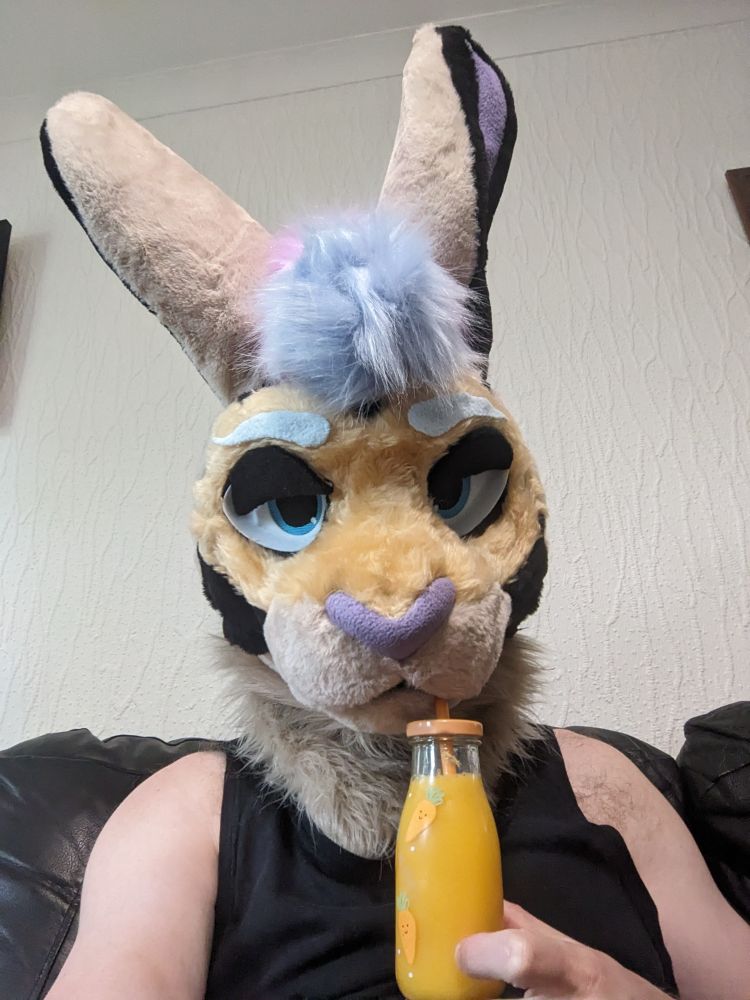 Me, a hare, wearing a singlet and drinking an orange juice from a bottle with carrots on it.