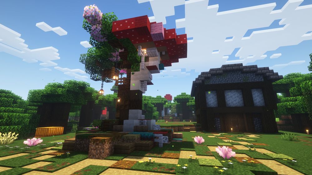 The wierd tree and misc shack