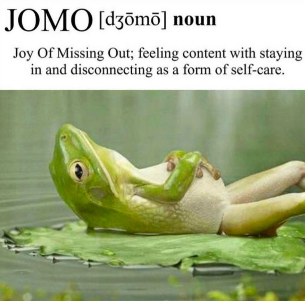 Beautiful pale lime green frog with an  even paler yellow green white tummy- lying on his back on a green lily pad floating in green water…his green arms laying in his pale green belly. Looking very relaxed and content. 
This is a photo, not a drawing. 