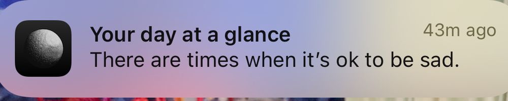 screenshot of co-star app notification “your day at a glance: there are times when it’s okay to be sad.”