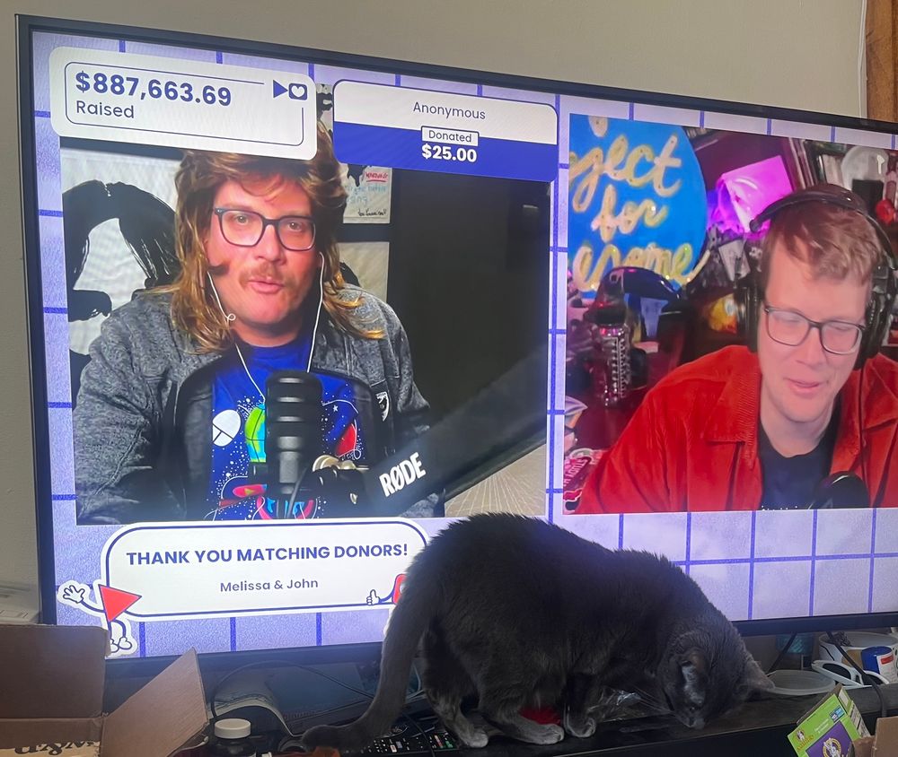 tv screen showing project for awesome youtube livestream featuring john green wearing a mullet wig and hank green. violet the gray cat is sitting on the soundbar in front of the tv. 
