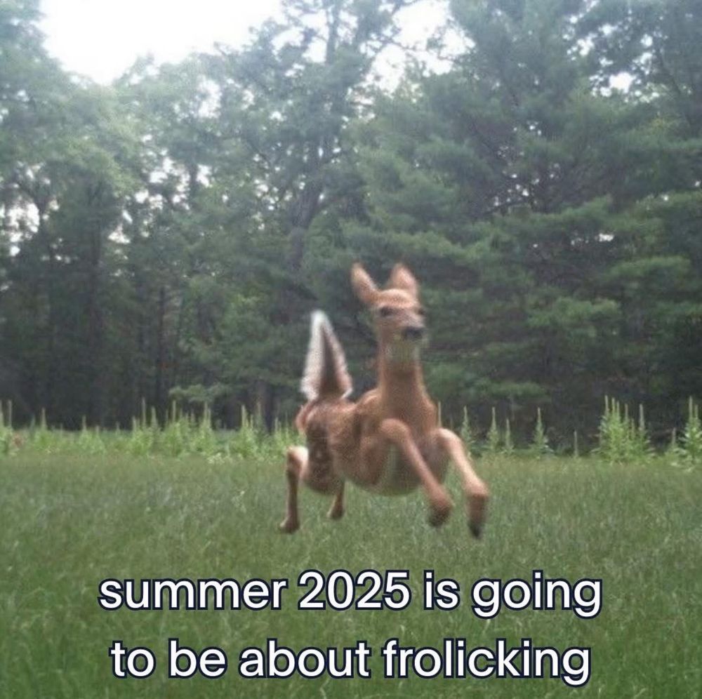 A deer jumping in a grassy area. The picture says “summer 2025 is going to be about frolicking”. 