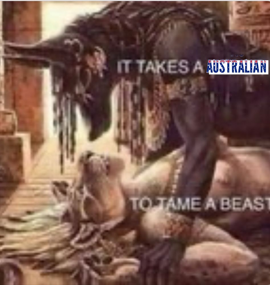 the “it takes a beast to tame a beast” art of two furries fucking but with the first beast replaced in blocky letters covered in the union jack reading “australian”