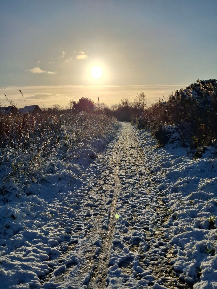 Winter sun