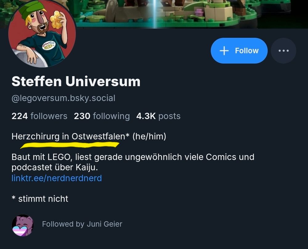 Screenshot der aktuellen Bio von legoversum, der Teil "Herzchirurg in Ostwestfalen*" ist gelb unterstrichen

Das Sternchen ist erläutert mit "Stimmt nicht"
Ha Ha.