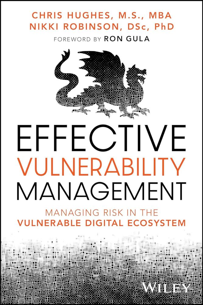 Effective Vulnerability Management Book