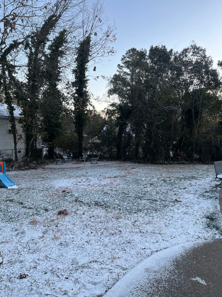 A yard with a light dusting of snow