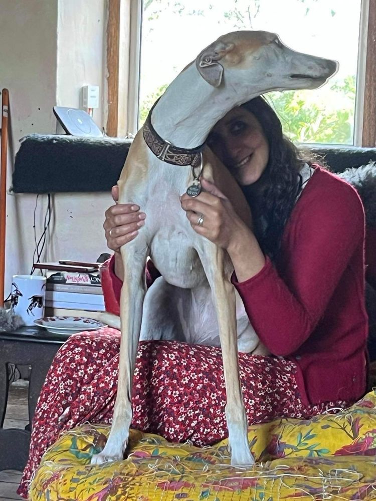 A woman in a red cardigan and red floral skirt peers round a fawn and white greyhound who is sitting on her lap 
