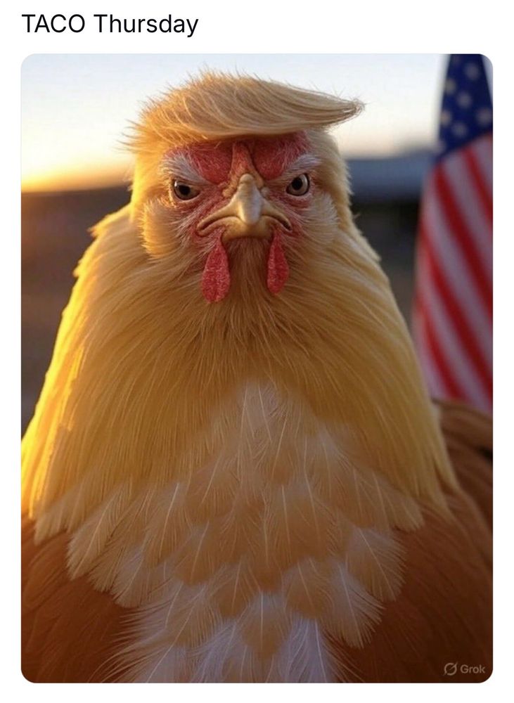 Comment image