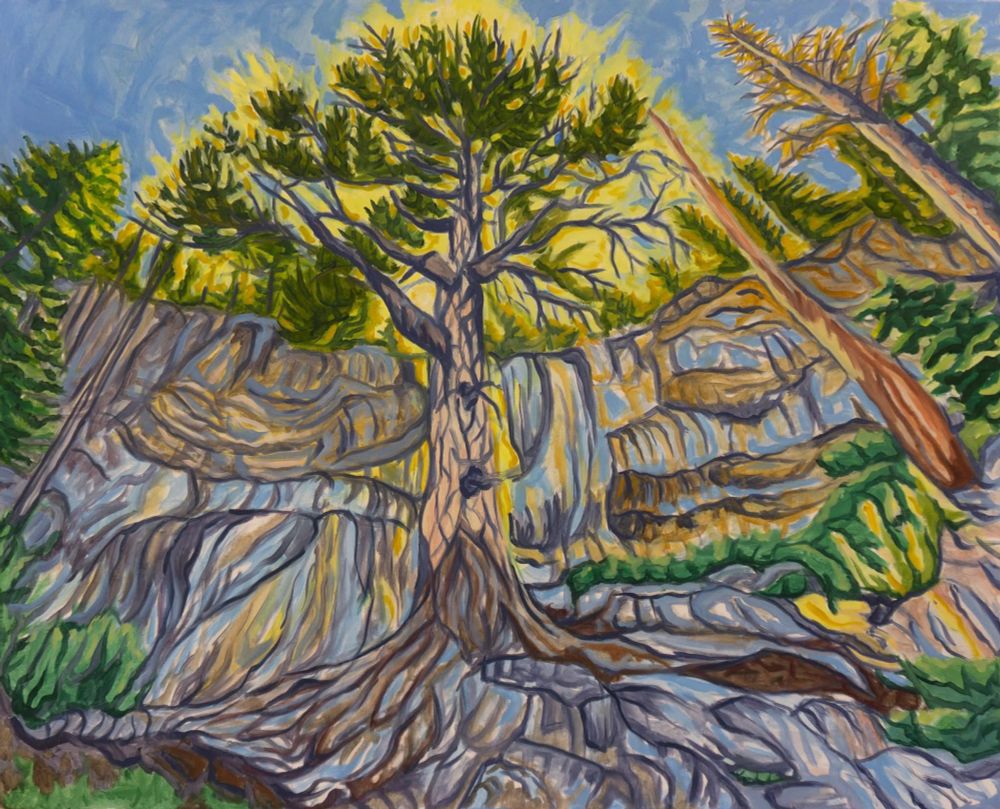 A large bristlecone pine with twisted roots & branches sits at the base of a tall cliff, with the perspective looking up from the base. Bright yellow light emanates from above & behind the tree. 