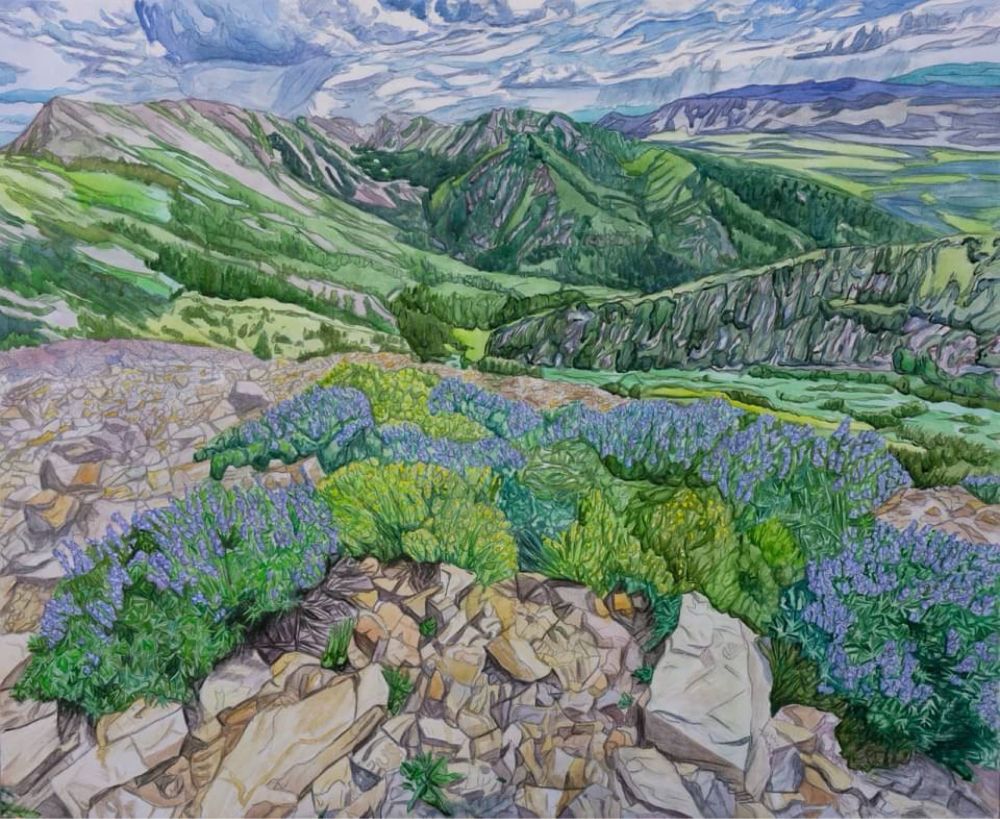 Purple flowers on a rocky mountain top with a view down a lush green valley below with stormy clouds overhead.