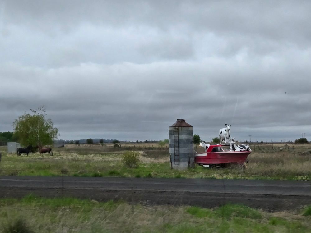 a wide shot of a field. on the left in the background are two horse statues, one black and one brown, facing each other. on the right in the foreground is a small red boat with three cow statues in various places on the boat