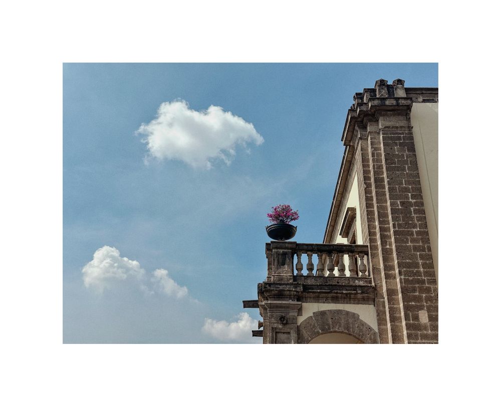 Soft blue sky 

Building with pink flower pot

Single image by hedy bach 