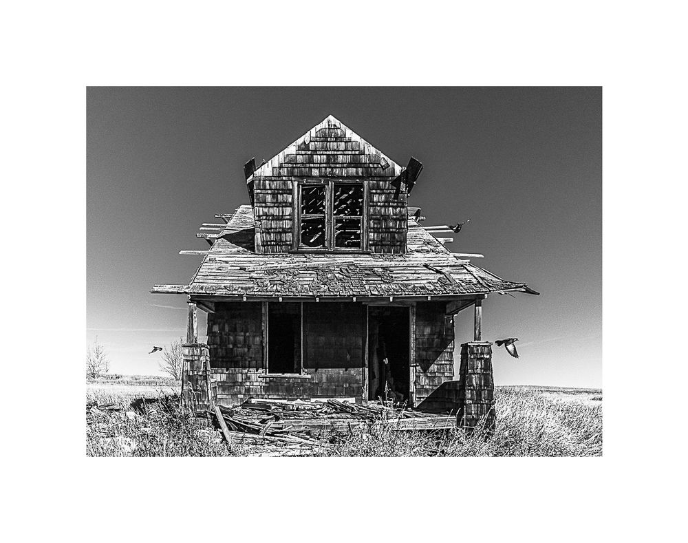 abandoned homestead central Alberta Black and white image by hedy bach 