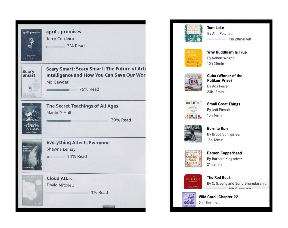 Partial lists from my kindle and audio 

Once the final move happens I will use our public library…

been a slow reader these months however audio works well while packing☺️