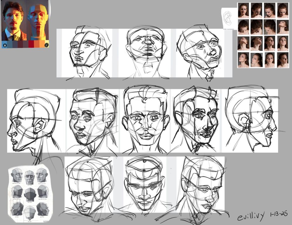 Loomis head in different angles