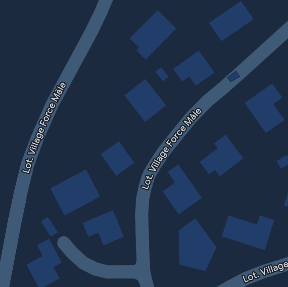 Carte montrant une rue nommée "Lotissement Village Force Mâle"
