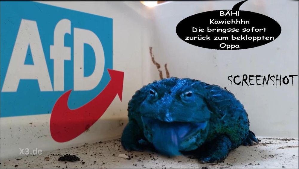 Comment image