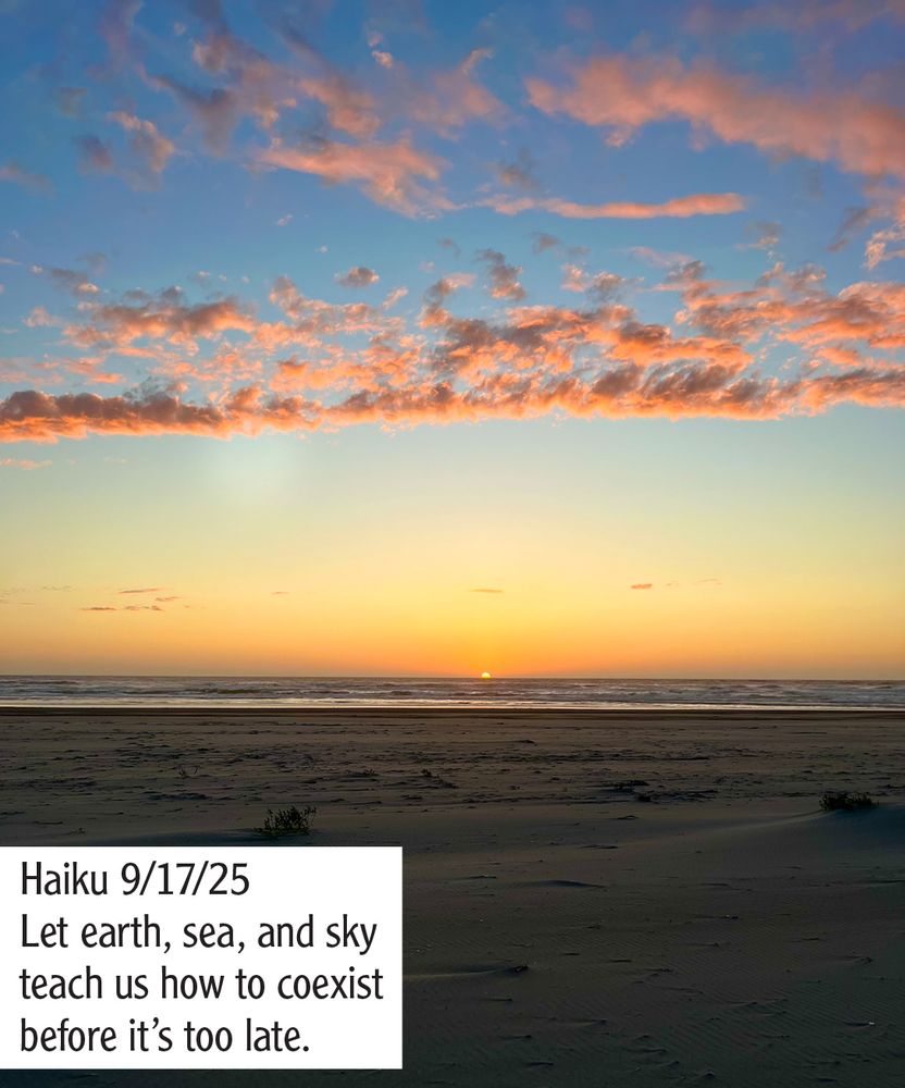 Photo of sunset on Washinton coast, dark sand, sun on water, pink clouds in blue sky.
Haiku:
Let earth, sea, and sky
teach us how to coexist
before it's too late.