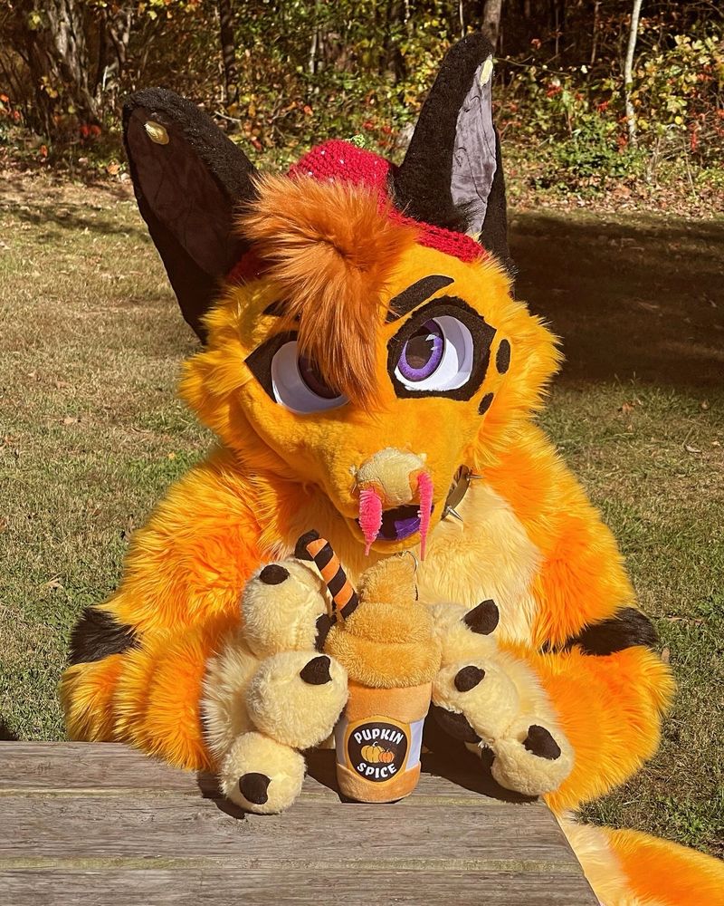 Orange fursuiter holds pumpkin spice latte chew toy while sitting at a picnic table.