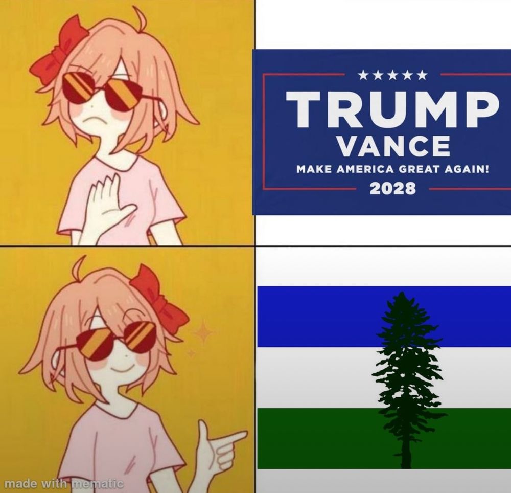 Meme of a girl turning away from a Trump/Vance 2028 campaign sign then approving of a Cascadian independence flag. 