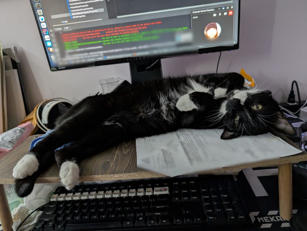 black and white cat sprawled out on top of makeshift office cat furniture, which elevates him over the keyboard instead of on top of it.
The office is messy and some parts are blurred, but the focus of the photos is the cat who seems to be enjoying sprawling and being more or less the center of attention.
