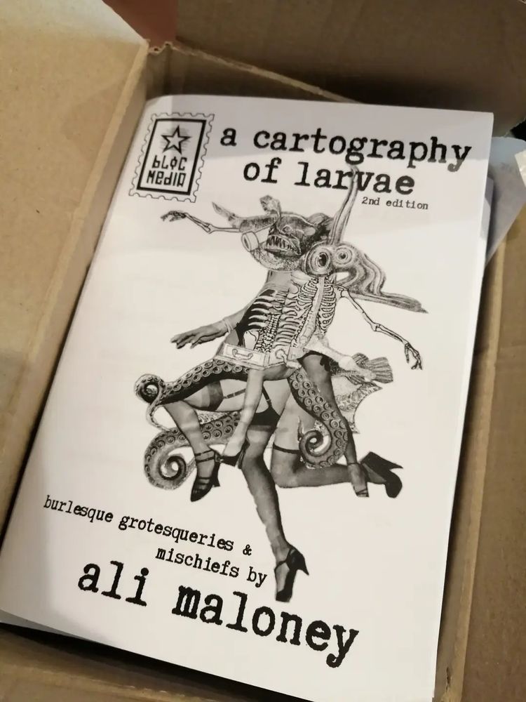 A zine subtitled "burlesque grotesqueries & mischiefs". Cover is a collage of vintage pin-up legs and fish parts. Phwoar, if you like that kind of thing.