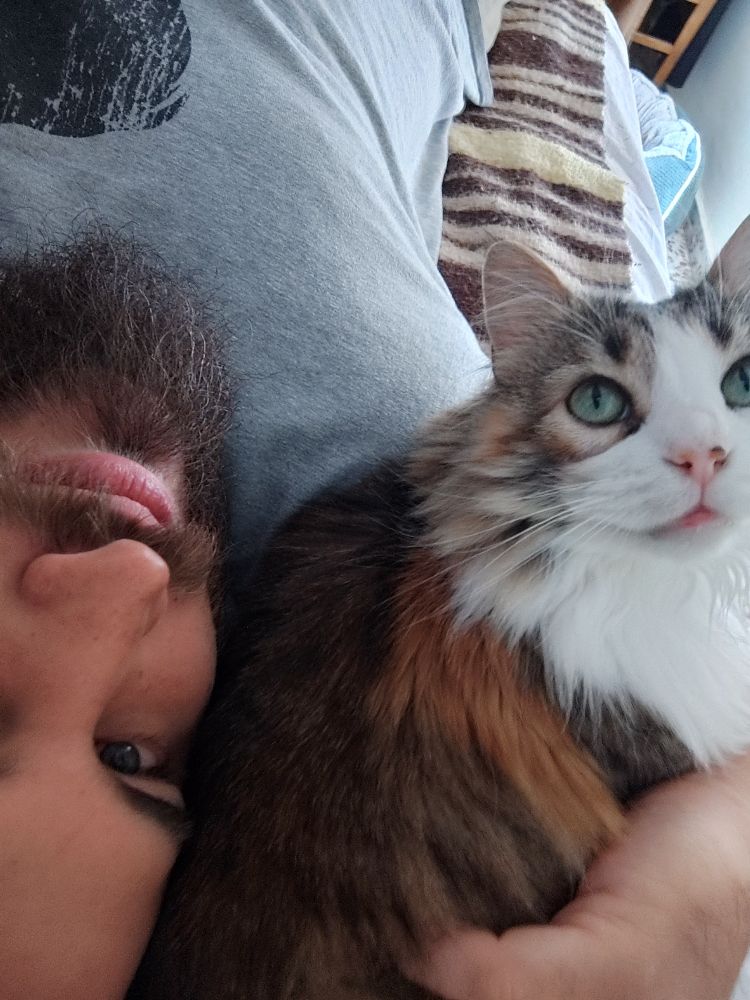 Queen mirando empanada al infinito. 
