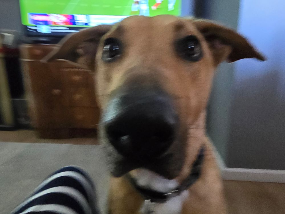 Stanley wants grub!! 