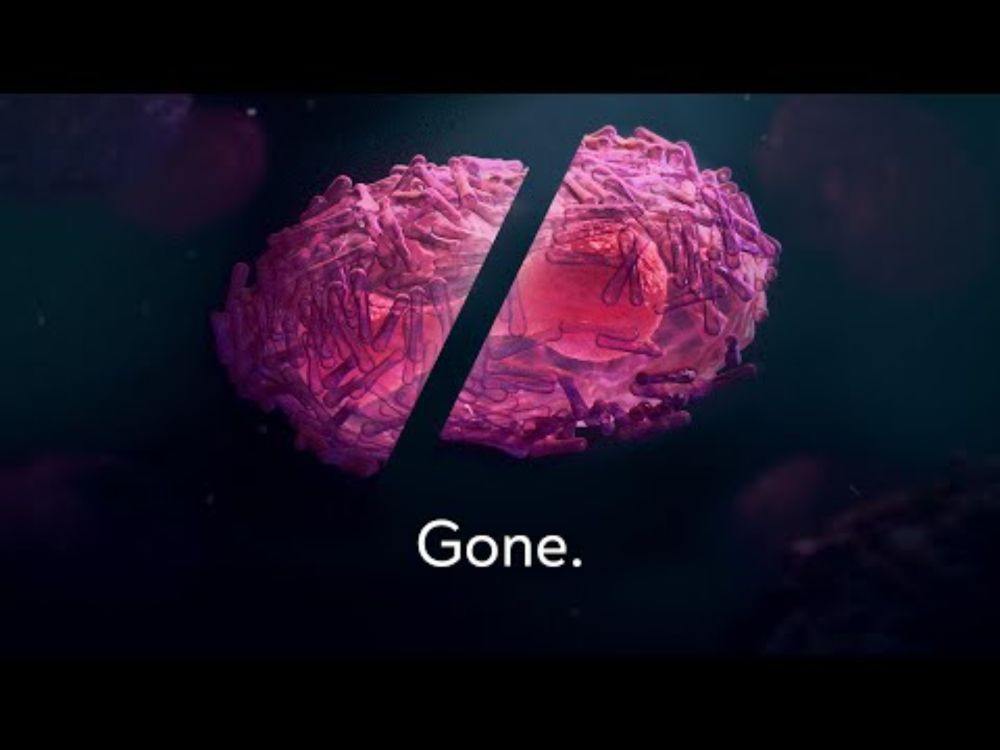 Defeating a Virus That Killed Half a Billion People – The Plea