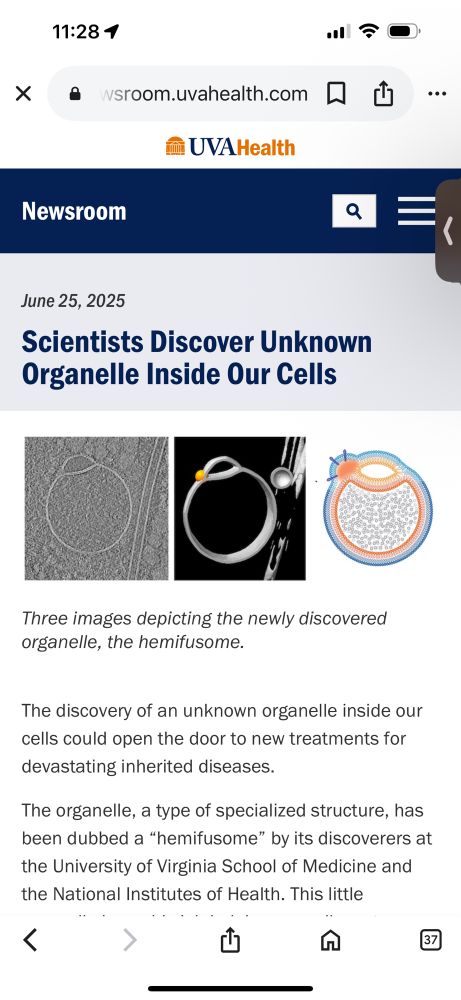 Scientists discover unknown organelle inside our cells