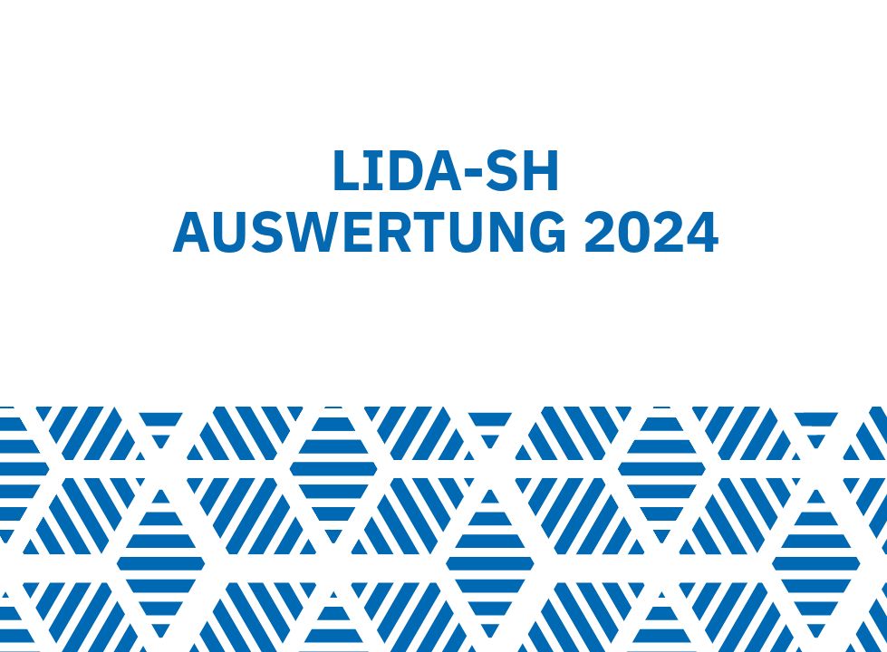 LIDA-SH 
Auswertung 2024
blau-weißes Muster