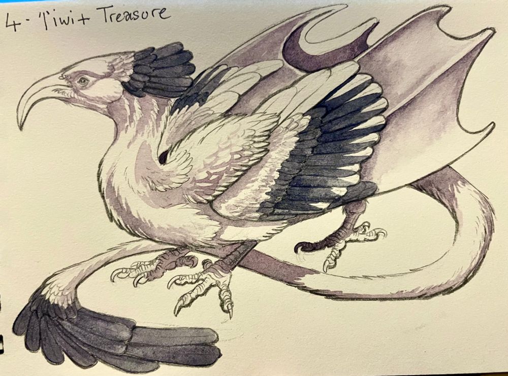 An uncoloured but shaded watercolour sketch of a feathery dragon based around an ‘i’iwi.