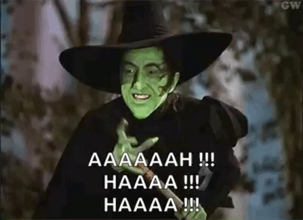 wicked witch of the west from the wizard of oz is wearing a black hat and holding a sword .