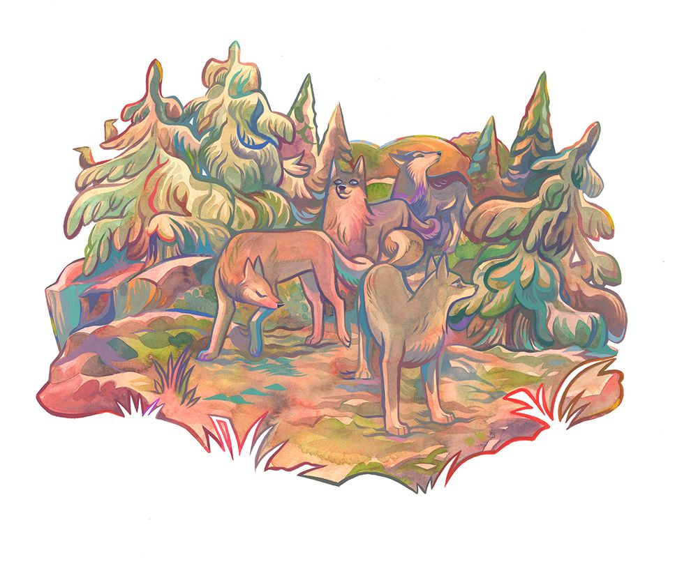 a gouache painting of 4 wolves with some evergreen trees