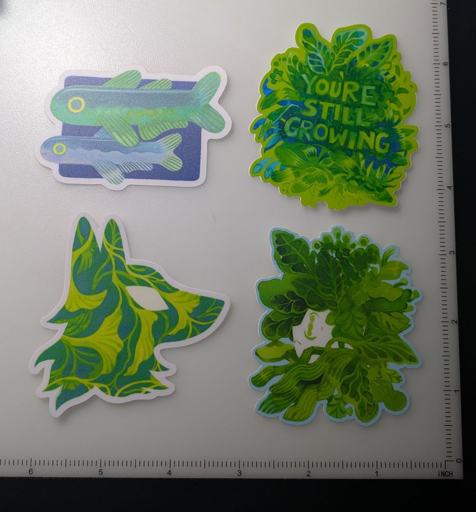 A photo of 4 stickers featuring nature themes