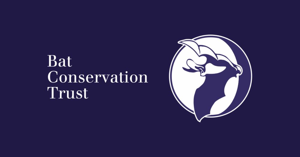 Bats and rabies FAQ's - Bats and health in the UK - Bat Conservation Trust