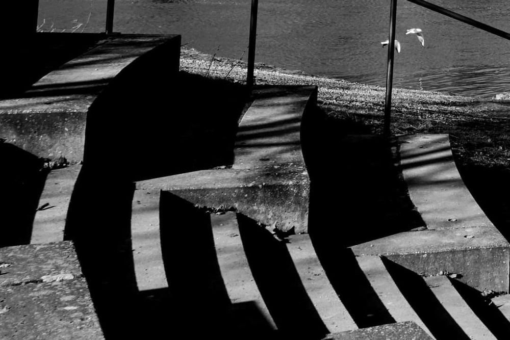 Black and white photo of concrete steps leading down to water, with long shadows and two birds flying in the top right.
